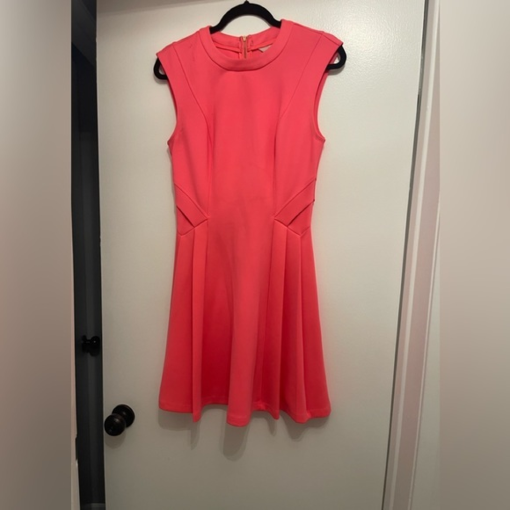 Ted Baker skater dress